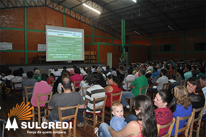 Resultados positivos, eleição do Conselho de Administração e Diretoria Executiva na AGO da Sulcredi